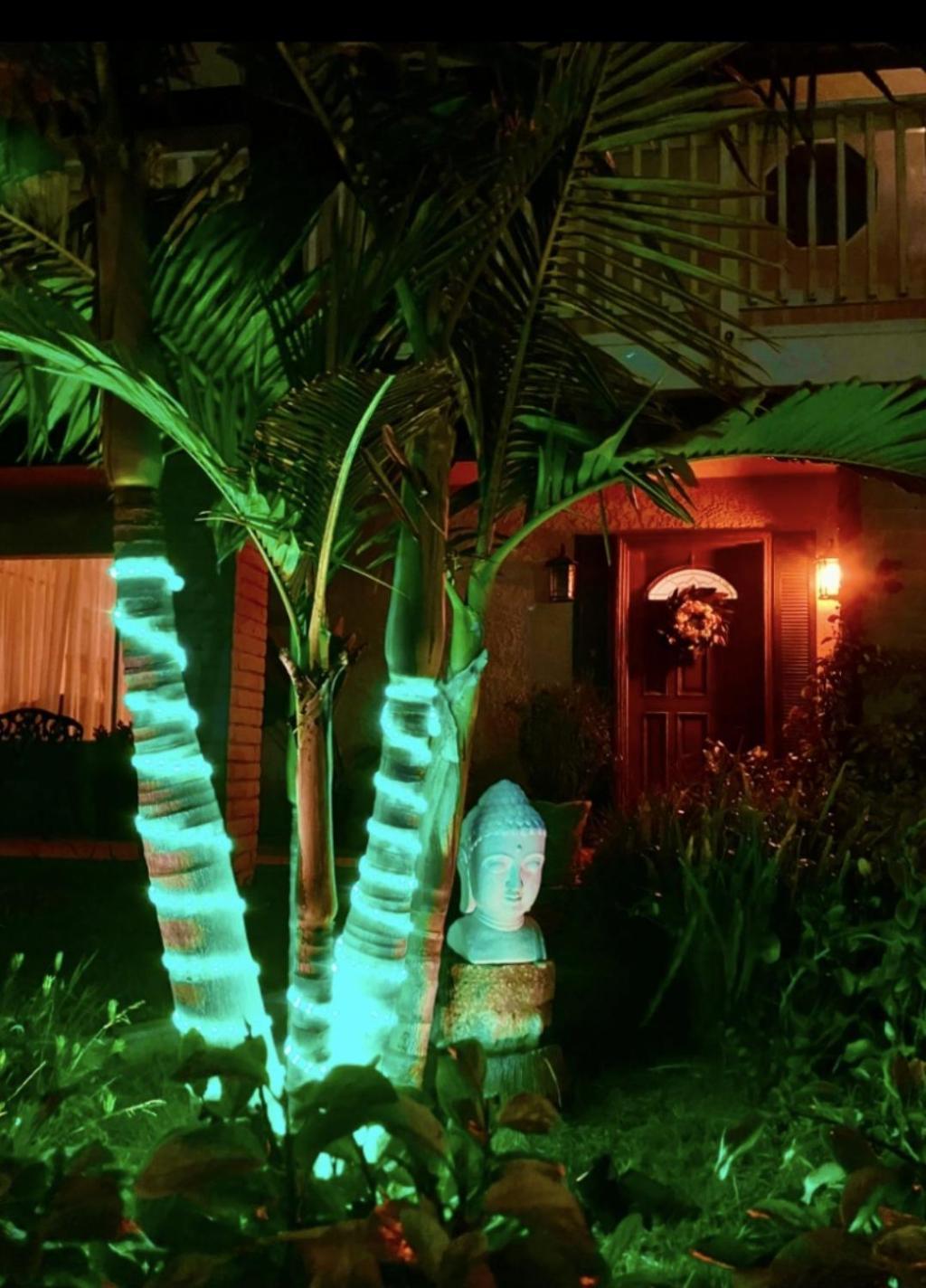 Tropical Retreat Close To